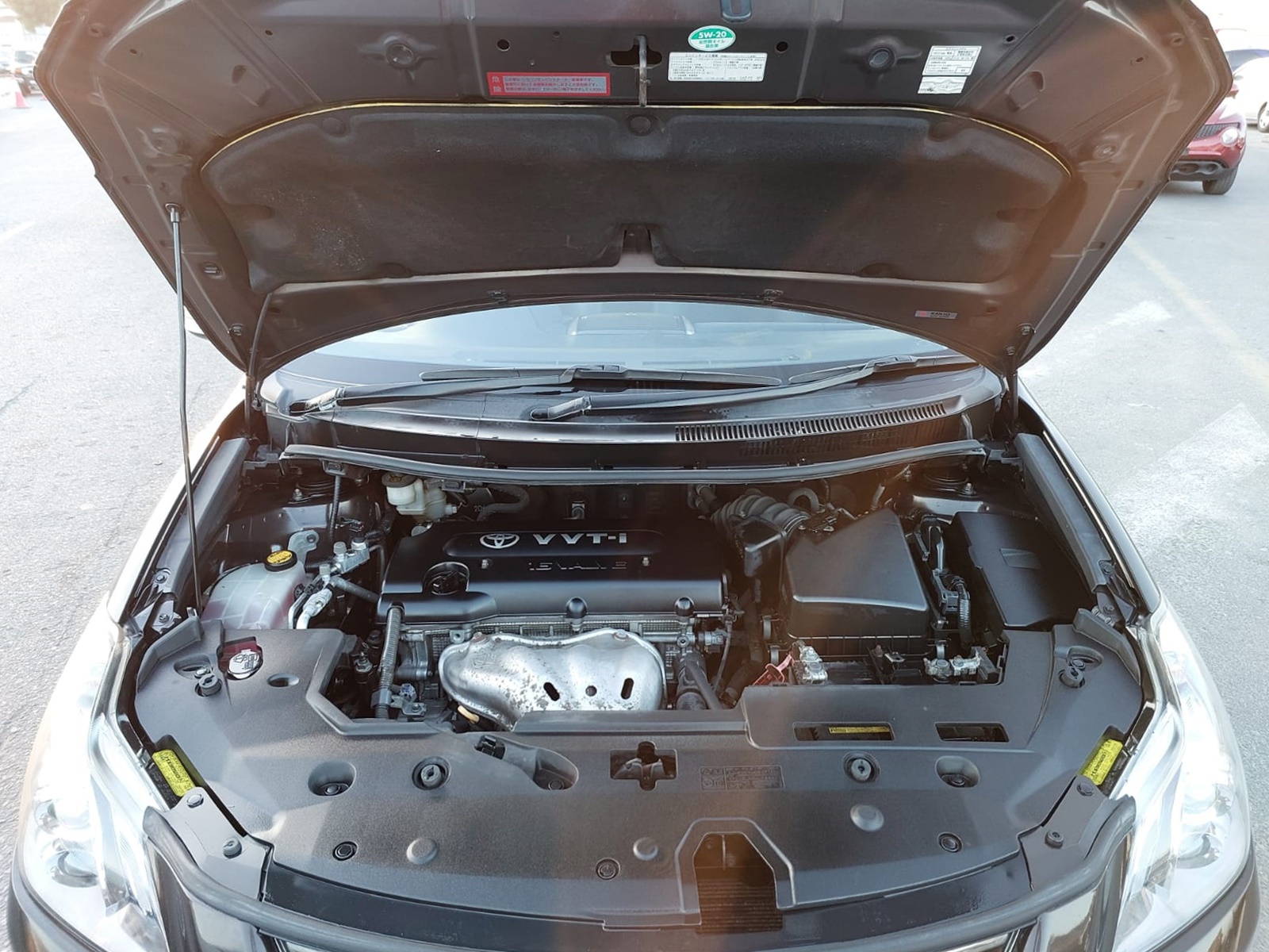 Main Image