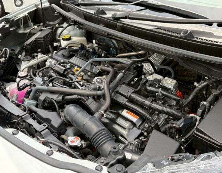 Main Image